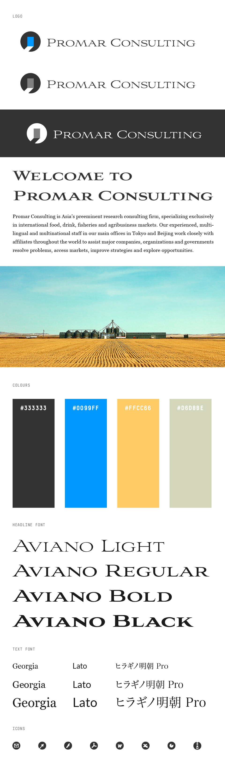 Promar Consulting Tokyo Japan - Corporate Identity Design Styleguide