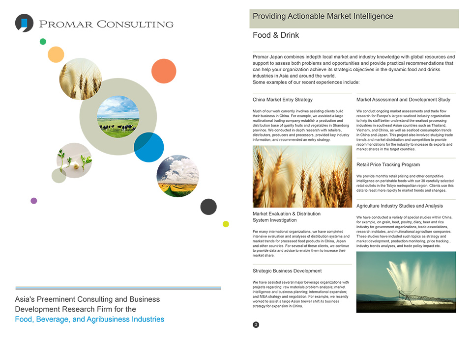 Promar Consulting - Company Brochure