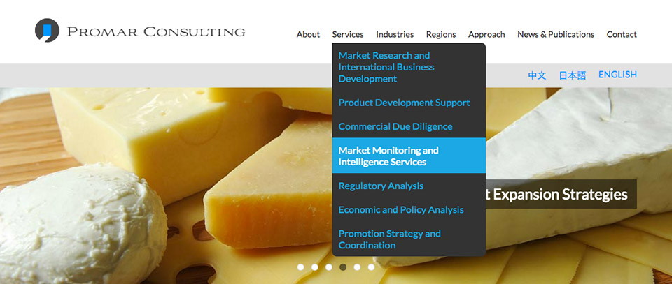 Promar Consulting - Website Menu
