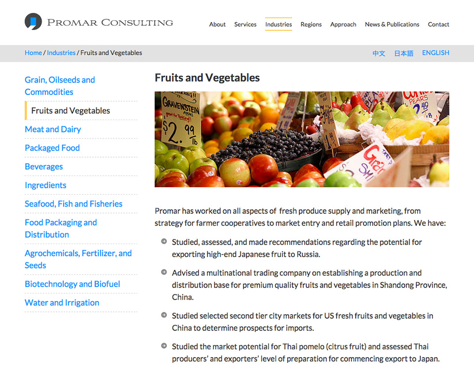 Promar Consulting - Website - Service Page