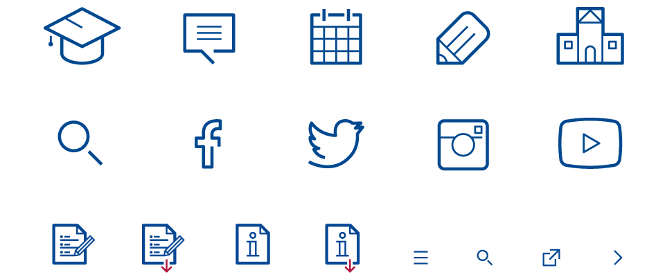 Japan Studies Program for Tokyo International University - Custom Icons Illustrations