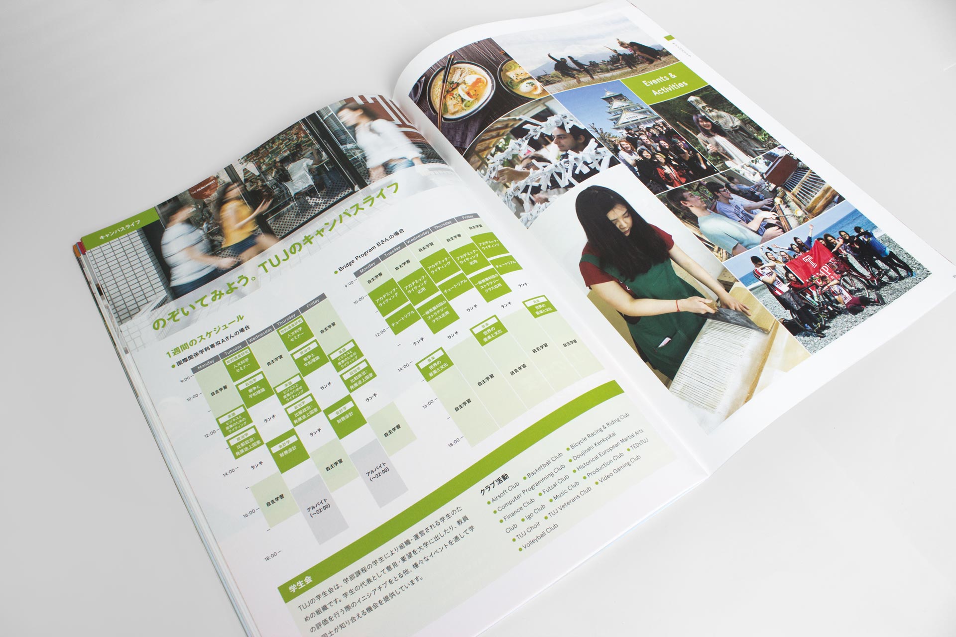 Temple University Japan in Tokyo - English Japanese Undergraduate Brochures - Print Layout Design Illustration