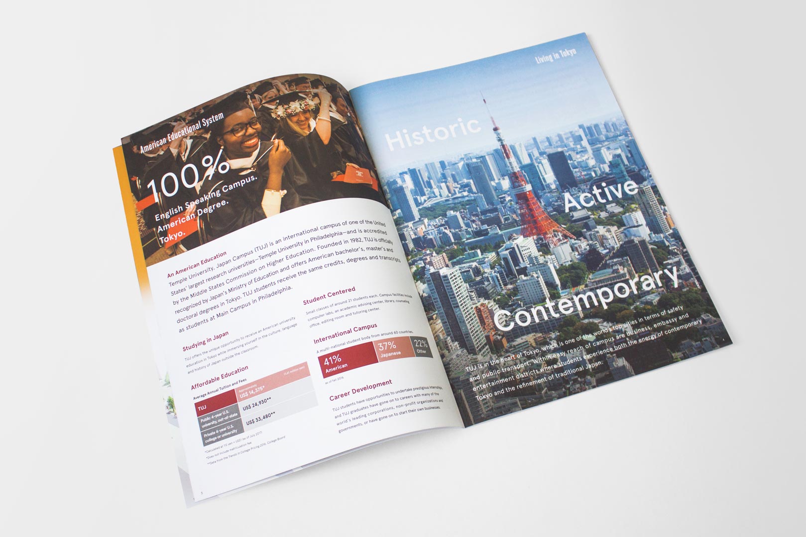 Temple University Japan in Tokyo - English Japanese Undergraduate Brochures - Print Layout Design Illustration