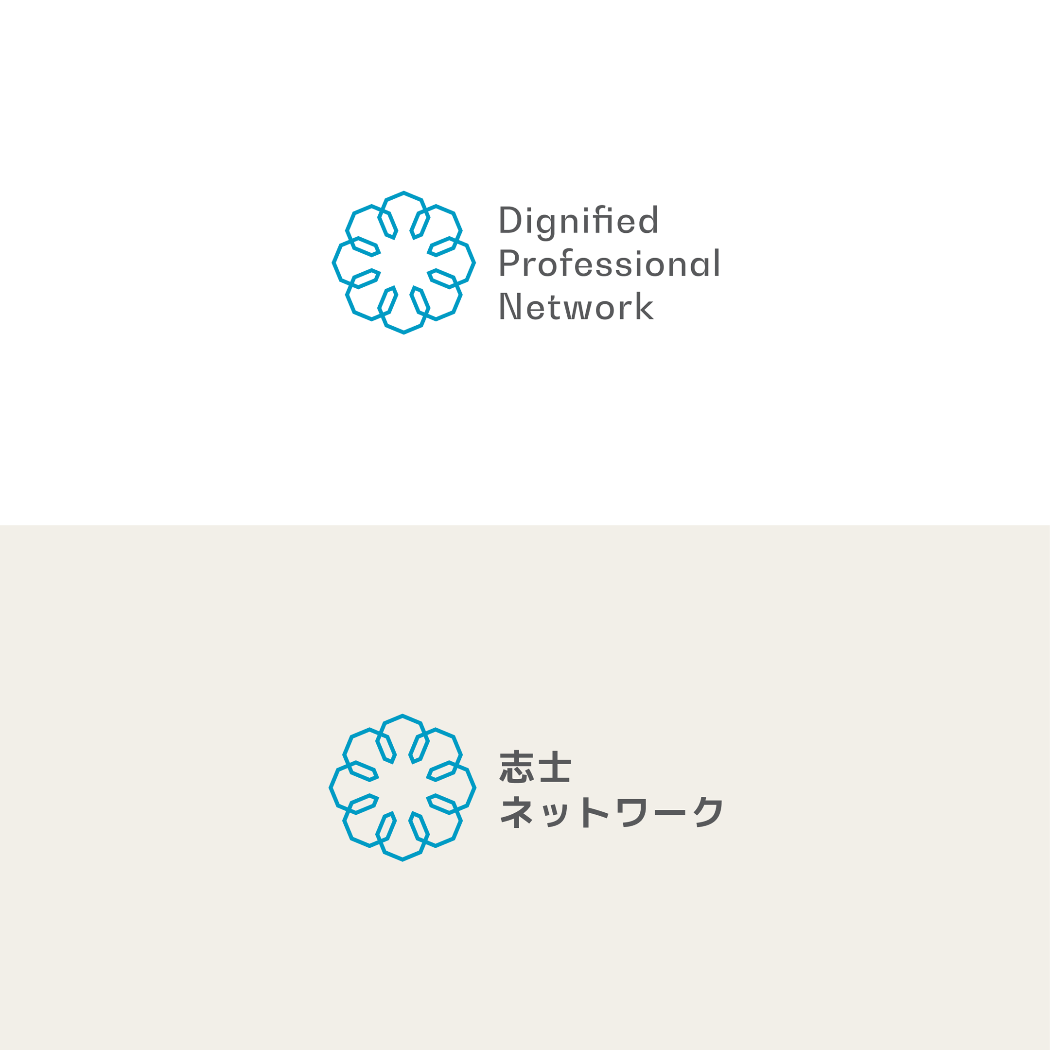 Dignified Professional Network (志士ネットワーク) - Visual Identity Design (VI/CI), Logo & Design Guideline